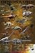 Dinosaurs - Nature Poster (Triassic, Jurassic & Cretaceous) (Size: 24