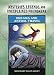 Dreams and Astral Travel (Mysteries, Legends, and Unexplained Phenomena) Dreams and Astral Travel (Mysteries, Legends, and Unexplained Phenomena)