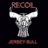 Jersey Bull