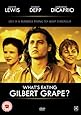 What's Eating Gilbert Grape [DVD] [1993]