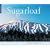 The Story of Sugarloaf