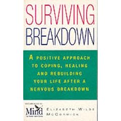 Surviving Breakdown: Coping, Healing and Rebuilding After a Nervous Breakdown (Positive health)