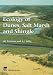 Book Ecology of Dunes, Salt Marsh and Shingle