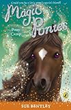 Pony camp