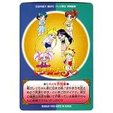 Sailor Moon Super S Trading Cards - Part 7 (Random Assortment of 25 Cards)