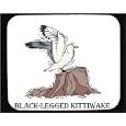 Mouse Pad with kittiwake, black-legged, bird