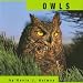 Owls (Animals)