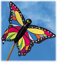 Tropical Butterfly