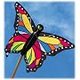 Tropical Butterfly