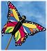Tropical Butterfly