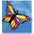 Tropical Butterfly