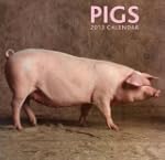 2013 Calendar: Pigs: 12-month calenda...