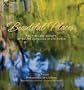 Beautiful Places: The Timeless Beauty of South Carolina State Parks