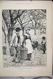 1886 Agricultural Scene November Apple Harvest Children