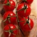 Rote, s��e Cherry-Tomate - auch f�r den K�bel - Zuckertraube - 10 Samen