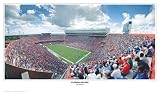 Florida Gators Swamp Panoramic Print