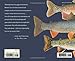 About Trout: The Best of Robert J. Behnke from Trout Magazine