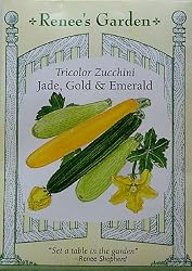Zucchini Tricolor Jade Gold and Emerald Seeds 20 Seeds