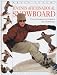 Search : Jóvenes aficionados al Snowboard: Una guía para el entusiasta del snowboard (Un libro para jóvenes activos)