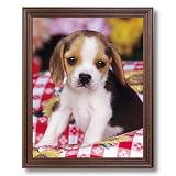 Beagle Puppy Dog Kids Room Animal Picture Framed Art Print Reviews 517kQByYzuL. SL160 Beagle Puppy Dog Kids Room Animal Picture Framed Art Print Reviews