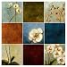 Orchid Splendour - Viola Lee Art Print Poster 40 x 40