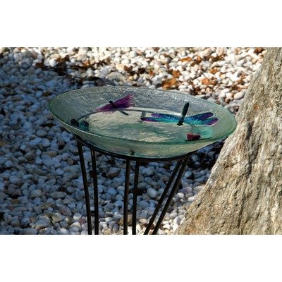Evergreen 2GB016 Glass Bird Bath, Dragonfly, 18-Inches Diameter