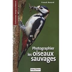 Photographier les oiseaux sauvages