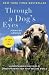 Through a Dog's Eyes