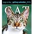 Cat Page-A-Day Gallery Calendar 2016