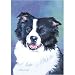 Border Collie (4x4) Ceramic Tile