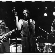 Swans