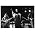 Thumbnail image of Swans