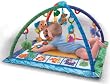 Fisher-Price Songs & Smiles Discovery Gym