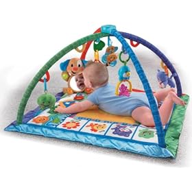 Fisher-Price Songs and Smiles Discovery Gym by Fisher-Price