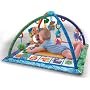 Fisher-Price Songs & Smiles Discovery Gym