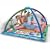 Fisher-Price Songs & Smiles Discovery Gym