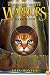 Dark River (Warriors: Power of Three #2)