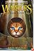 Dark River (Warriors: Power of Three #2)