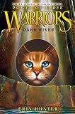 Dark River (Warriors: Power of Three #2)