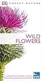 Wild flowers
