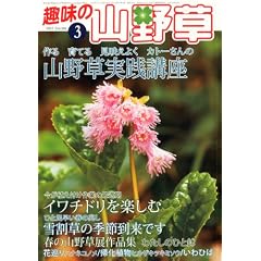 ��̎R�쑐 2012�N 03���� [�G��]