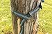Petrichor Hammock Tree Straps: Quality Tree Slings for Any Hammock, Lightweight Tree Anchors Are Ideal with Petrichor Hammocks Along with All Other Portable Hammocks, Includes 2 Slings Per Pack