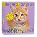 365 Cats Page-A-Day Calendar 2010 (Color Page-A-Day(r) Calendars)