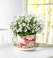 Campanula Tea Cup and Saucer