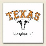 AbsorbaStone Coaster set~ Texas Longhorns ~ 4 Tile Drink Coasters ~ code 971