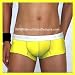 Groovin' Cup Boxer - Yellow