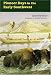 Book Pioneer Days in the Early Southwest (Bison Book)