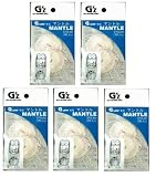 SOTO　G'z　Gランプ専用マントルSTG-201　徳用5パックセットの画像