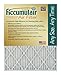 Accumulair FB16.25X21A Gold 1 Inch Filter; Pack Of 4