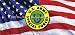 Window Graphic - 30x65 U.S. Army Special Forces 2